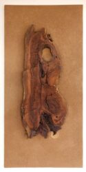 kuist-series-17
