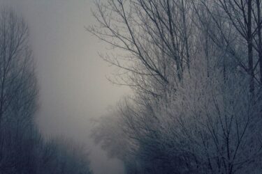 kuist-series-6